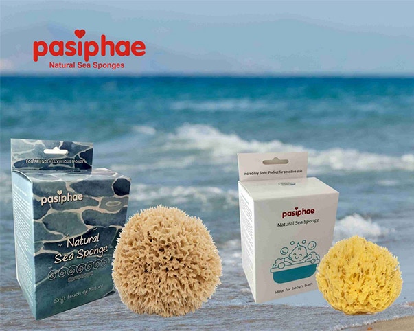 Natural Sea Sponges